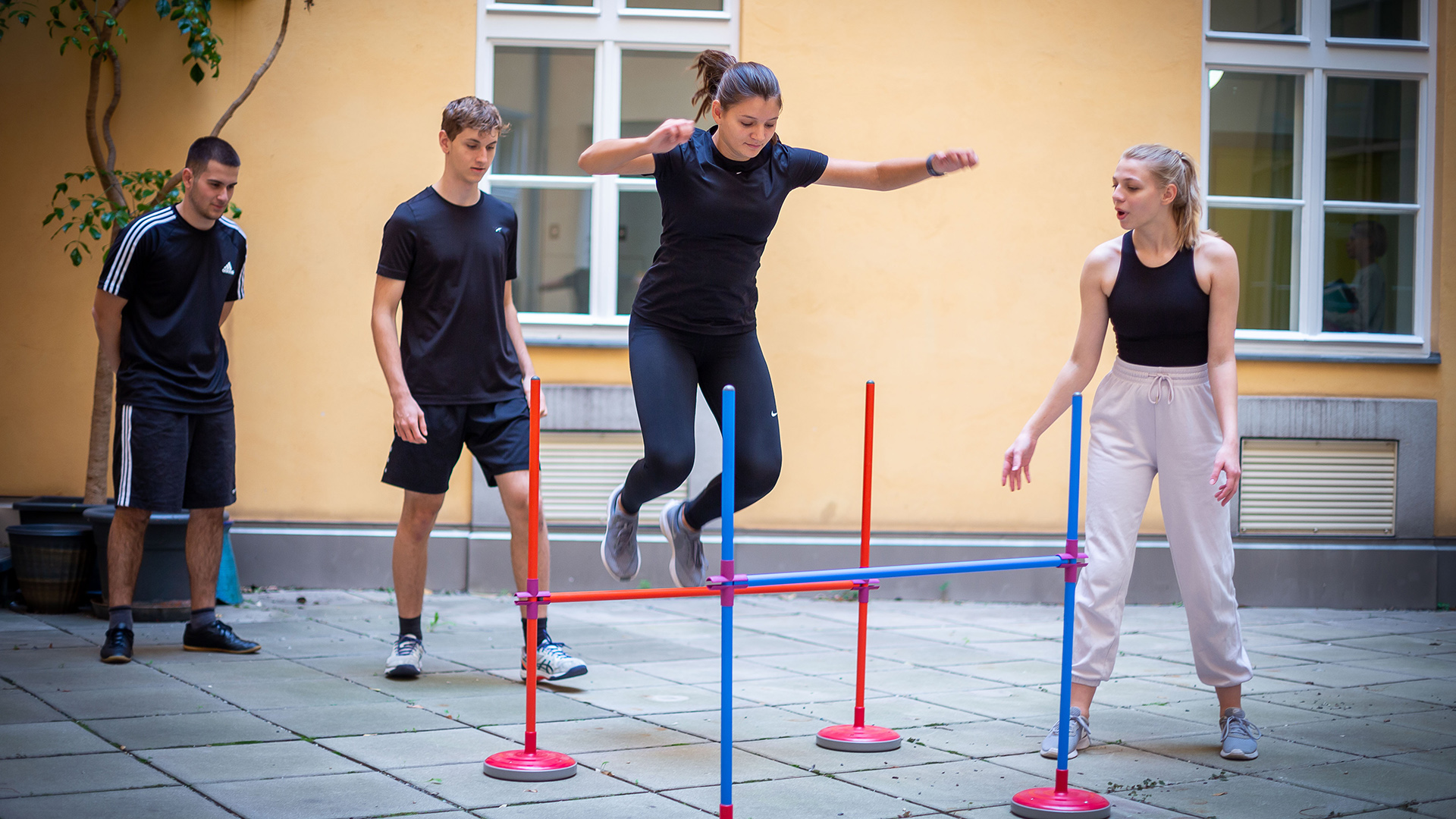 Tag der Wiener Schulen am 9.10.2024